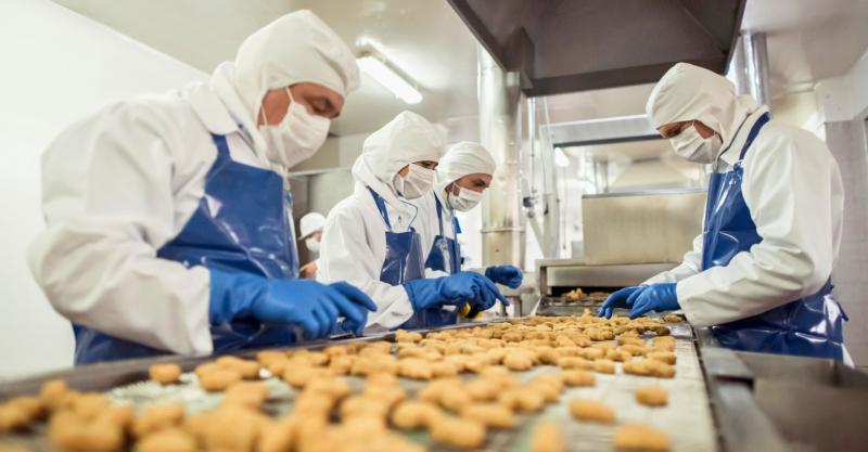 Certificação NSF em Lubrificantes Alimentícios: Você Conhece Todas?